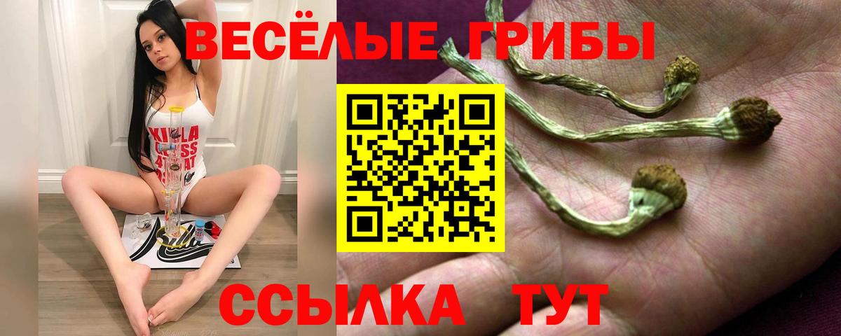 даркнет сайт  Галлюциногенные грибы GOLDEN TEACHER  Вход с VPN  Галлюциногенные грибы Magic Shrooms  Алексеевка 